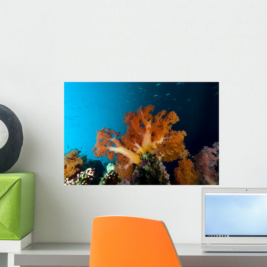 Soft Coral Scene Cebu Wall Decal