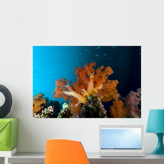 Soft Coral Scene Cebu Wall Decal