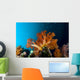 Soft Coral Scene Cebu Wall Decal