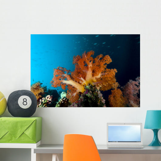 Soft Coral Scene Cebu Wall Decal
