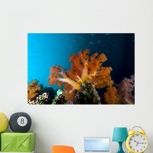 Soft Coral Scene Cebu Wall Decal