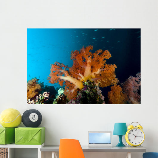 Soft Coral Scene Cebu Wall Decal