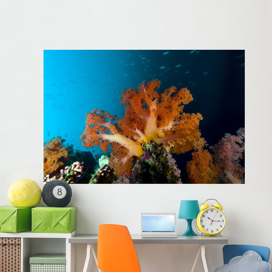Soft Coral Scene Cebu Wall Decal