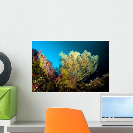 Sea Fan Cebu Philippines Wall Decal