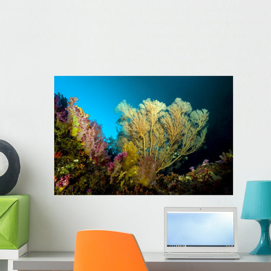 Sea Fan Cebu Philippines Wall Decal