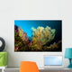 Sea Fan Cebu Philippines Wall Decal