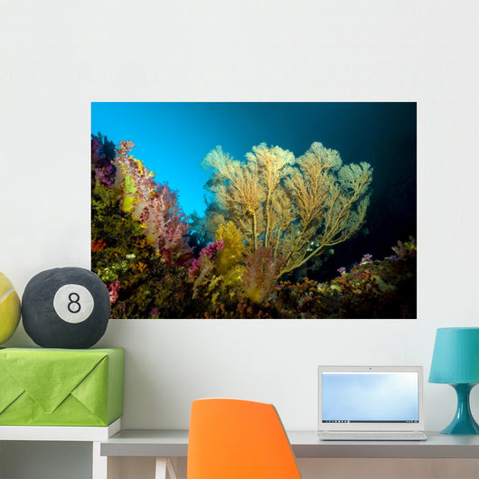 Sea Fan Cebu Philippines Wall Decal