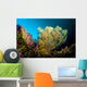 Sea Fan Cebu Philippines Wall Decal