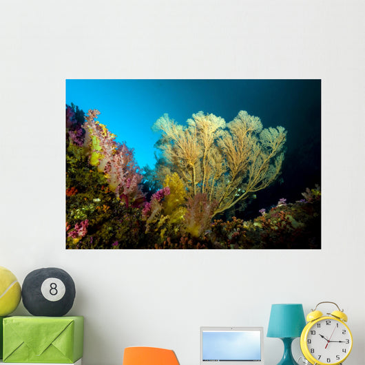 Sea Fan Cebu Philippines Wall Decal