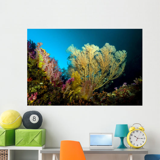 Sea Fan Cebu Philippines Wall Decal