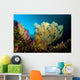 Sea Fan Cebu Philippines Wall Decal