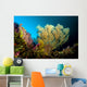 Sea Fan Cebu Philippines Wall Decal