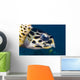 Hawksbill Sea Turtle Head Wall Decal