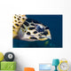 Hawksbill Sea Turtle Head Wall Decal