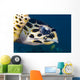 Hawksbill Sea Turtle Head Wall Decal