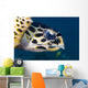 Hawksbill Sea Turtle Head Wall Decal