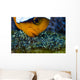 Anemonefish with Eggs Cebu Wall Decal