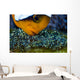 Anemonefish with Eggs Cebu Wall Decal