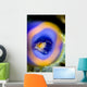 Shrimp Tunicate Cebu Philippines Wall Decal