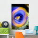 Shrimp Tunicate Cebu Philippines Wall Decal