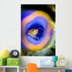 Shrimp Tunicate Cebu Philippines Wall Decal