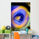 Shrimp Tunicate Cebu Philippines Wall Decal