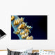 Anker's Whip Coral Shrimp Wall Decal