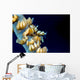 Anker's Whip Coral Shrimp Wall Decal
