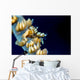 Anker's Whip Coral Shrimp Wall Decal