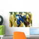 Pair Mandarinfish Mating Cebu Wall Decal