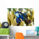 Pair Mandarinfish Mating Cebu Wall Decal