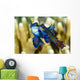 Pair Mandarinfish Mating Cebu Wall Decal