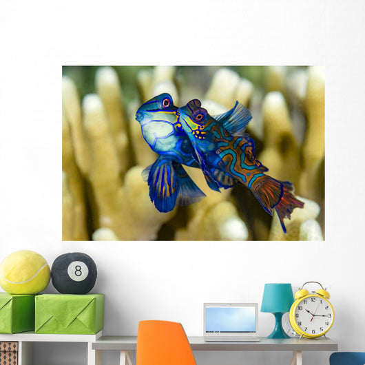 Pair Mandarinfish Mating Cebu Wall Decal