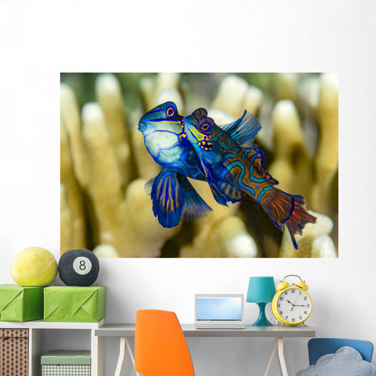 Pair Mandarinfish Mating Cebu Wall Decal