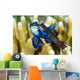 Pair Mandarinfish Mating Cebu Wall Decal