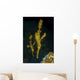 Pair Ornate Ghost Pipefish Wall Decal