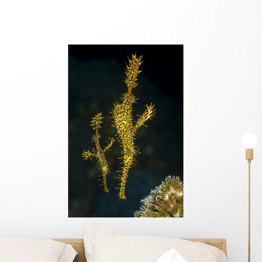 Pair Ornate Ghost Pipefish Wall Decal