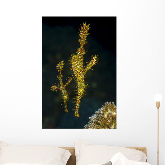 Pair Ornate Ghost Pipefish Wall Decal