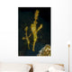 Pair Ornate Ghost Pipefish Wall Decal