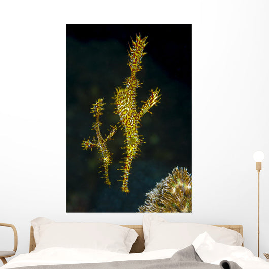Pair Ornate Ghost Pipefish Wall Decal