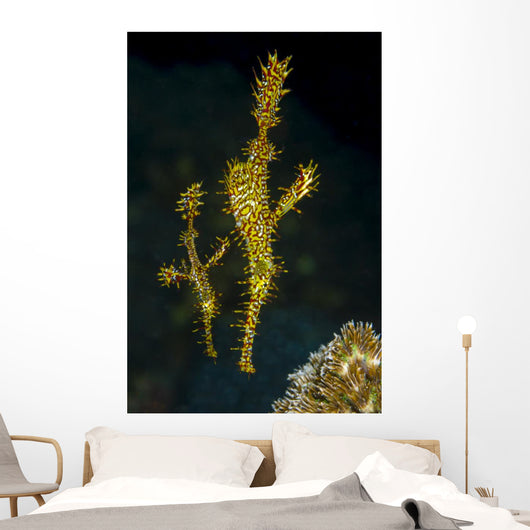 Pair Ornate Ghost Pipefish Wall Decal