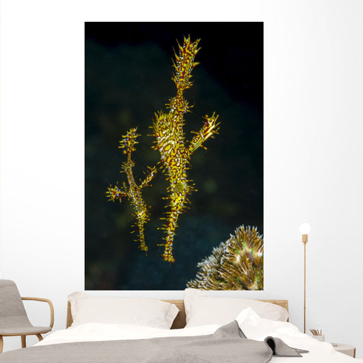 Pair Ornate Ghost Pipefish Wall Decal