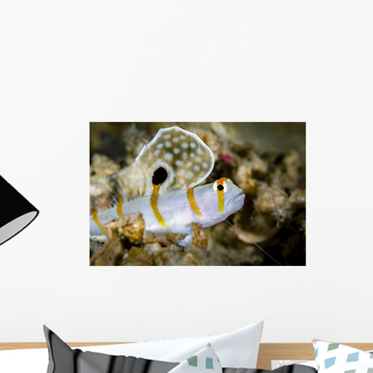 Randall's Shrimp Goby Cebu Wall Decal