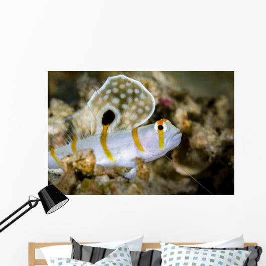 Randall's Shrimp Goby Cebu Wall Decal