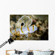 Randall's Shrimp Goby Cebu Wall Decal