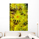 Orange Cup Coral Cebu Wall Decal
