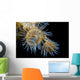 Beautiful Tiger Anemone Colony Top View Wall Decal
