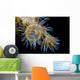 Beautiful Tiger Anemone Colony Top View Wall Decal