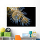 Beautiful Tiger Anemone Colony Top View Wall Decal