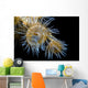 Beautiful Tiger Anemone Colony Top View Wall Decal